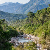 Corse du Sud © Robert Palomba