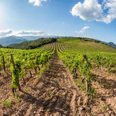 Corse du Sud © Robert Palomba