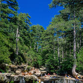 Corse du Sud © Robert Palomba