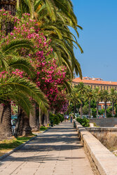 Corse du sud © Robert Palomba