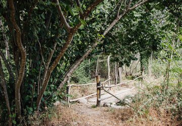 Haute Corse © L'Eco parc de la vallée d'Asco