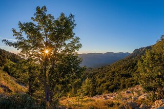 Lever de soleil depuis le gite de Capanelle