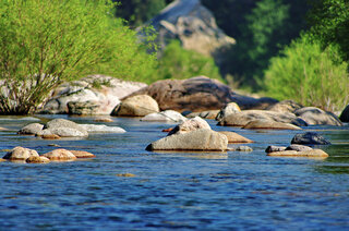 Rivière de la Solenzara