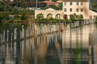 Etang de Biguglia