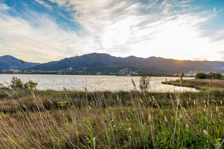 Etang de Biguglia