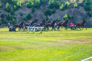 Hippodrome Viséo Zonza