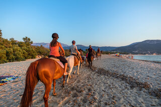 Cheval sur la plage d'Aregno