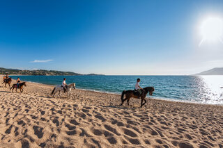 Cheval sur la plage en Corse